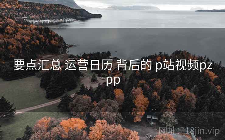 要点汇总 运营日历 背后的 p站视频pzpp