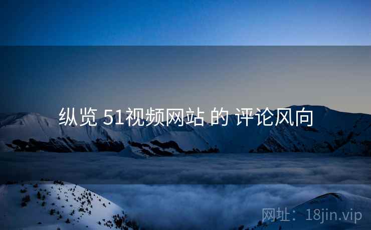 纵览 51视频网站 的 评论风向