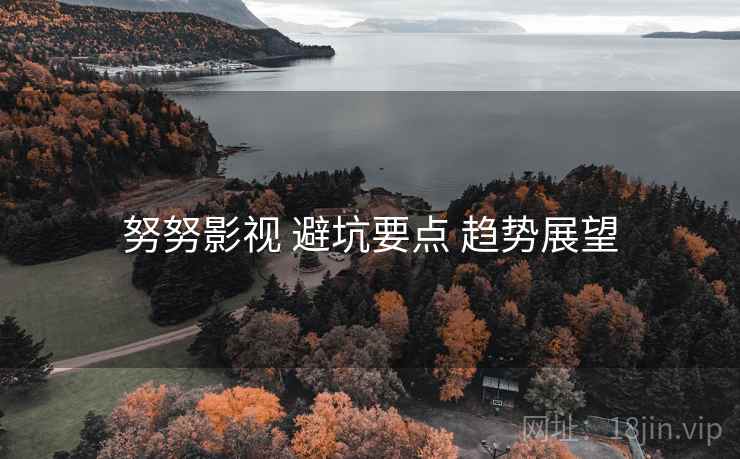 努努影视 避坑要点 趋势展望