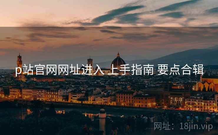 p站官网网址进入 上手指南 要点合辑