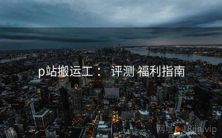 p站搬运工 ： 评测 福利指南