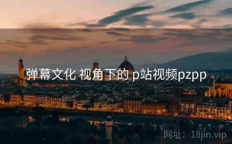 弹幕文化 视角下的 p站视频pzpp
