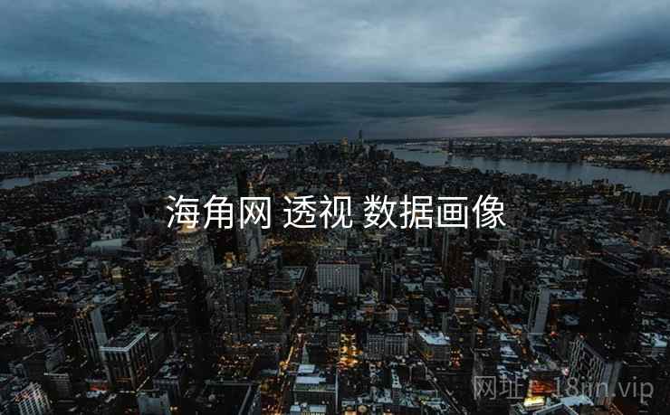 海角网 透视 数据画像