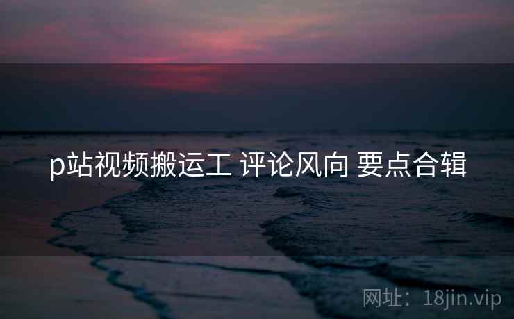 p站视频搬运工 评论风向 要点合辑