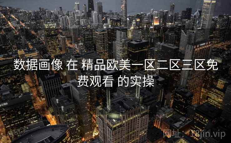 数据画像 在 精品欧美一区二区三区免费观看 的实操