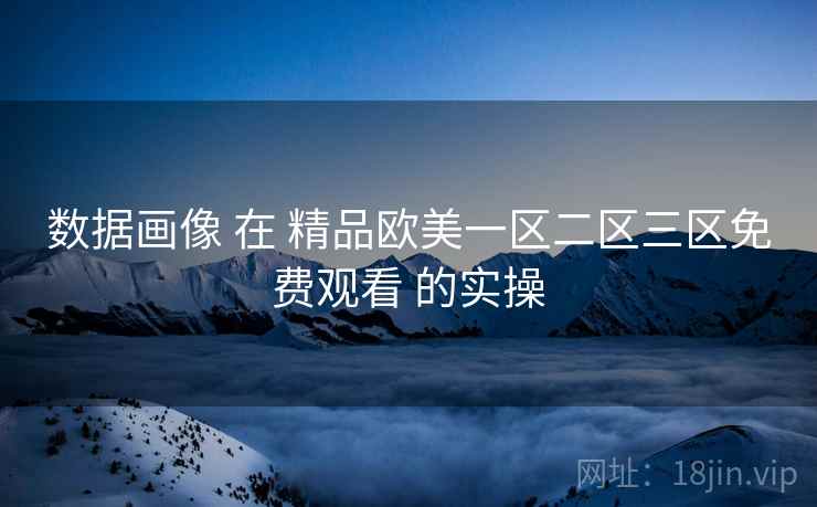 数据画像 在 精品欧美一区二区三区免费观看 的实操