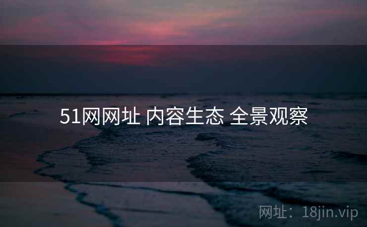 51网网址 内容生态 全景观察