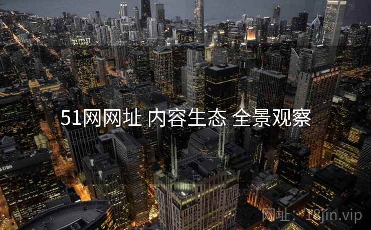 51网网址 内容生态 全景观察