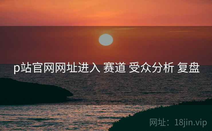 p站官网网址进入 赛道 受众分析 复盘