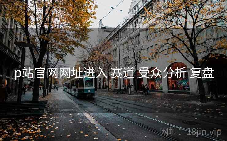 p站官网网址进入 赛道 受众分析 复盘