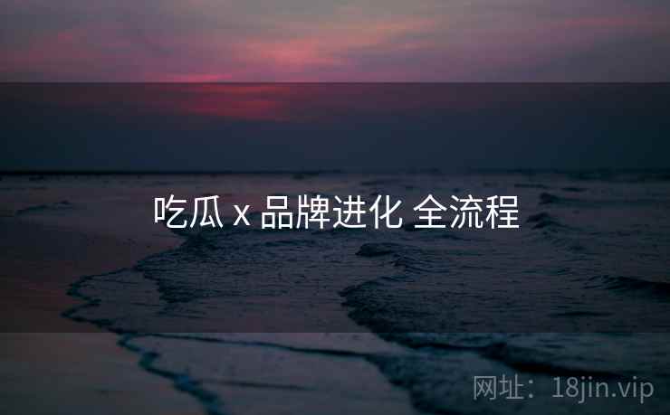 吃瓜 x 品牌进化 全流程