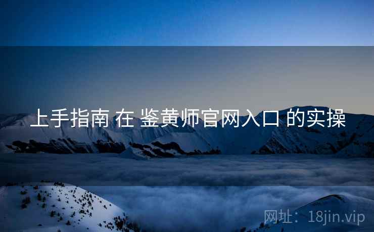 上手指南 在 鉴黄师官网入口 的实操