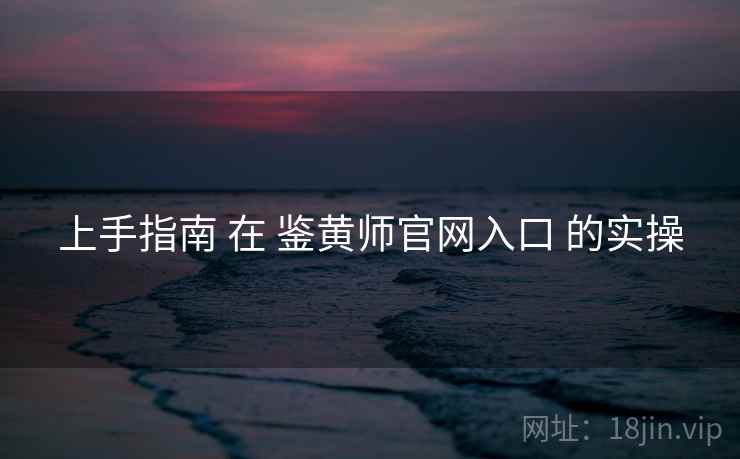 上手指南 在 鉴黄师官网入口 的实操